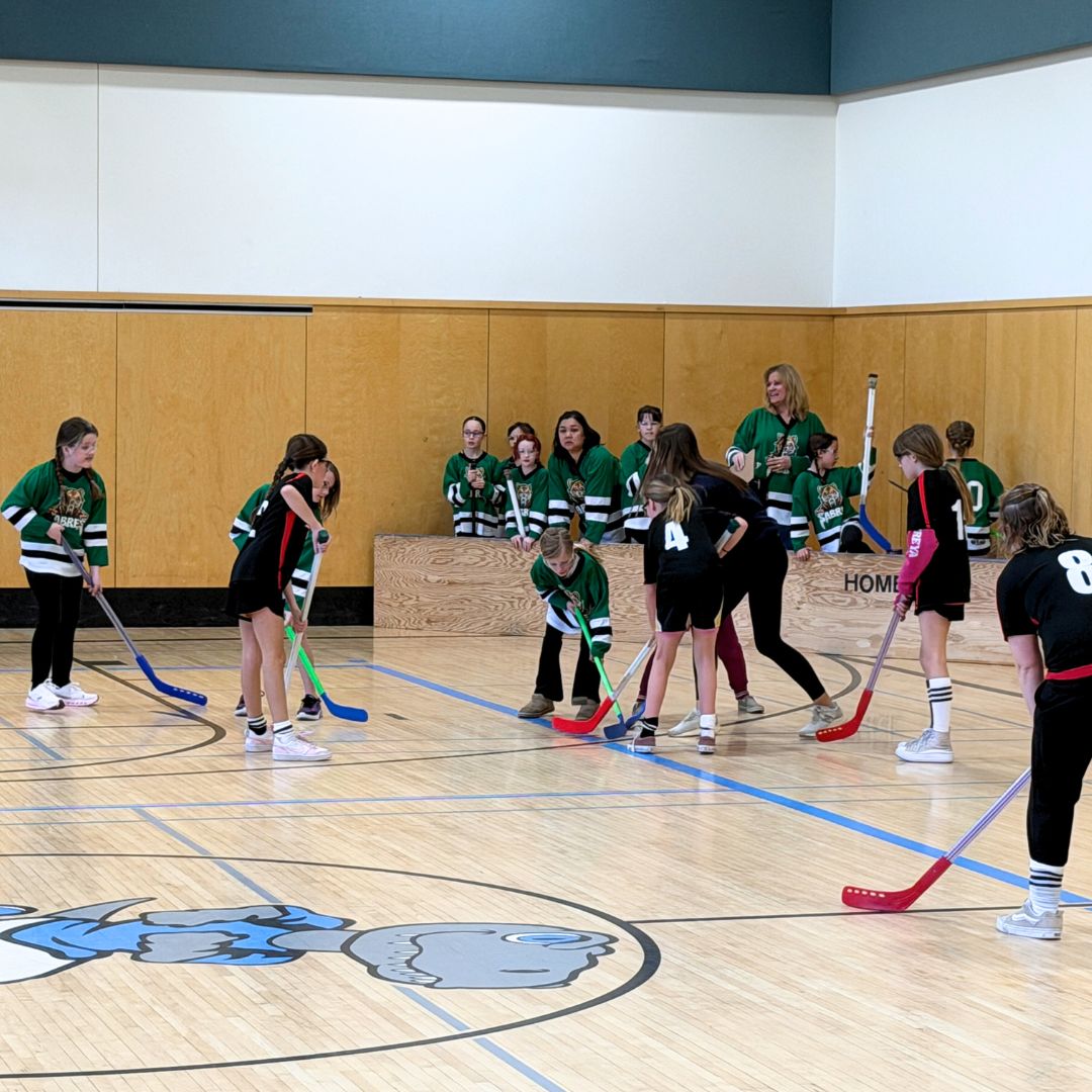 26.03.20 Girls 3 4 Floor Hockey (7)