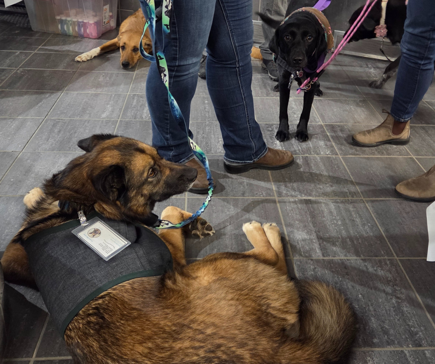 Mental Wellness internet safety 6